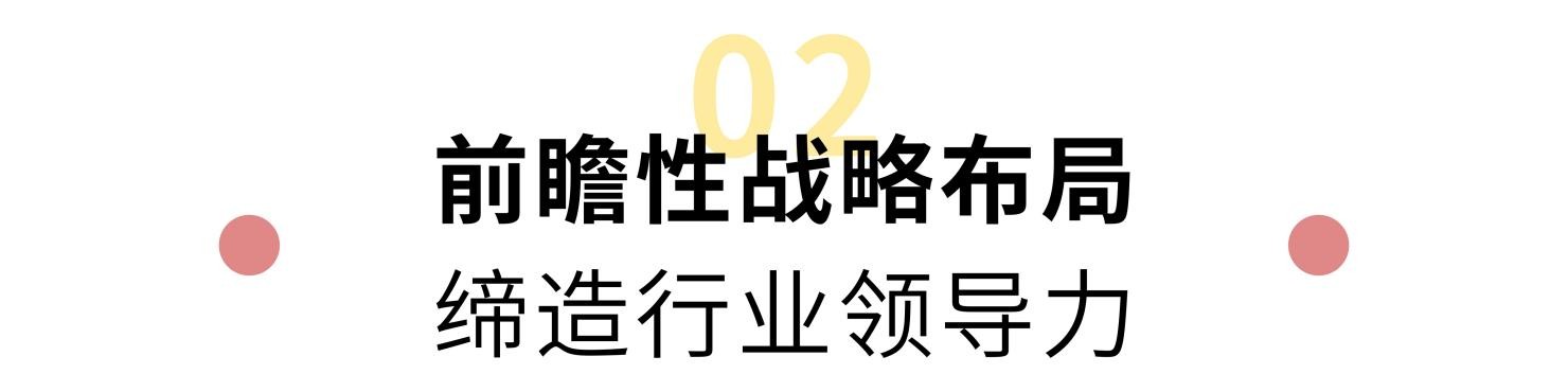 开云电竞新多举行200万樘装甲门下线仪式宣告装甲门进入自动化时代(图3)