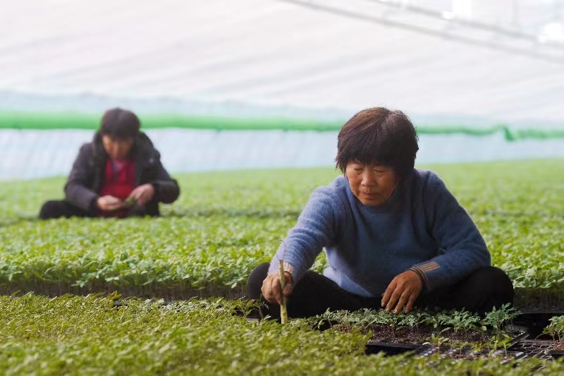 开云电竞重设密码(图2)